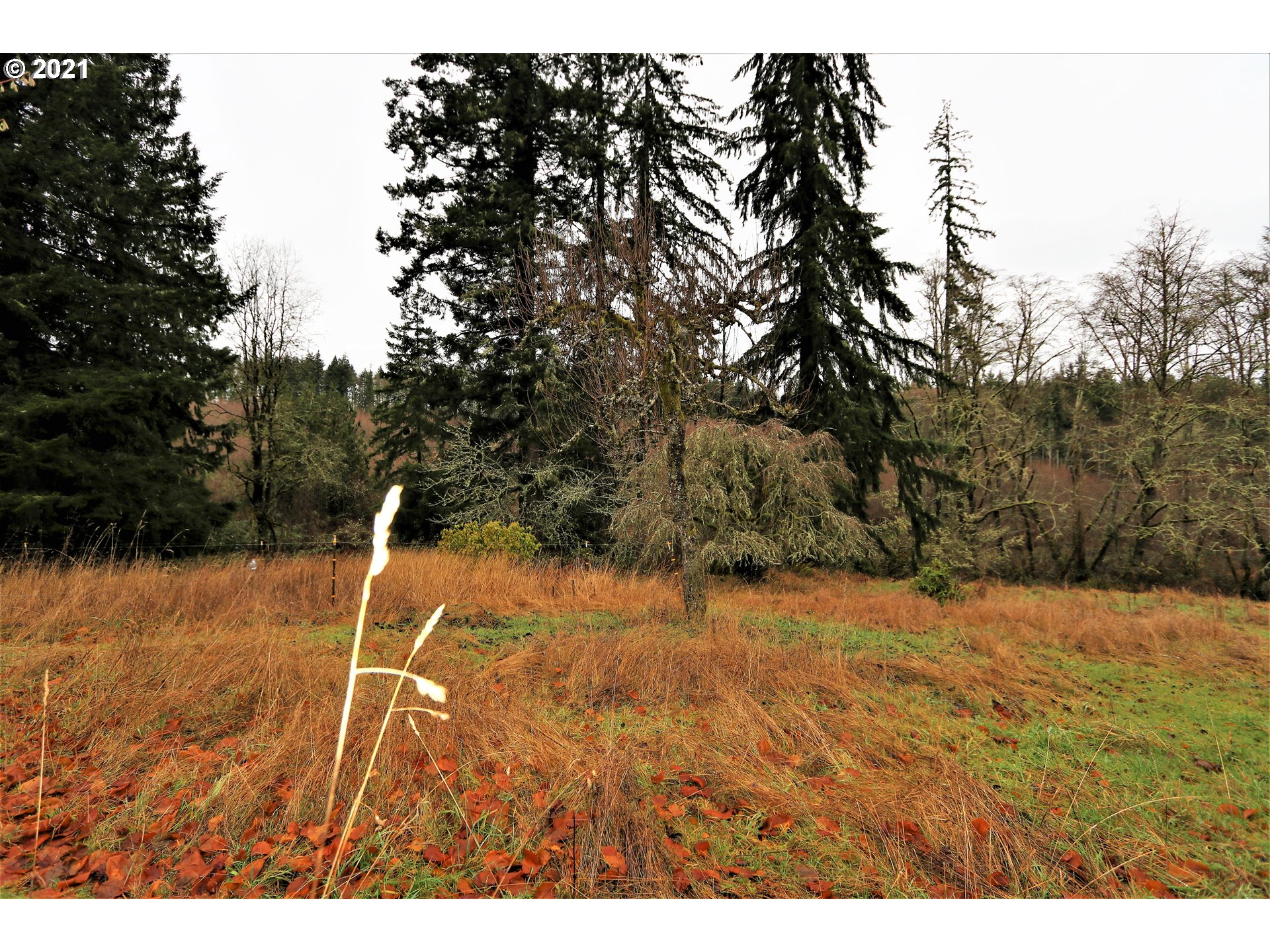 71925 Lentz Road Rainier, OR 97048 - Photo 23 of 29 Gallery Image 23