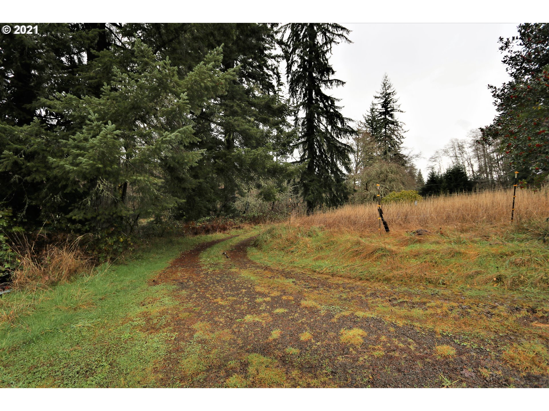 71925 Lentz Road Rainier, OR 97048 - Photo 24 of 29 Gallery Image 24