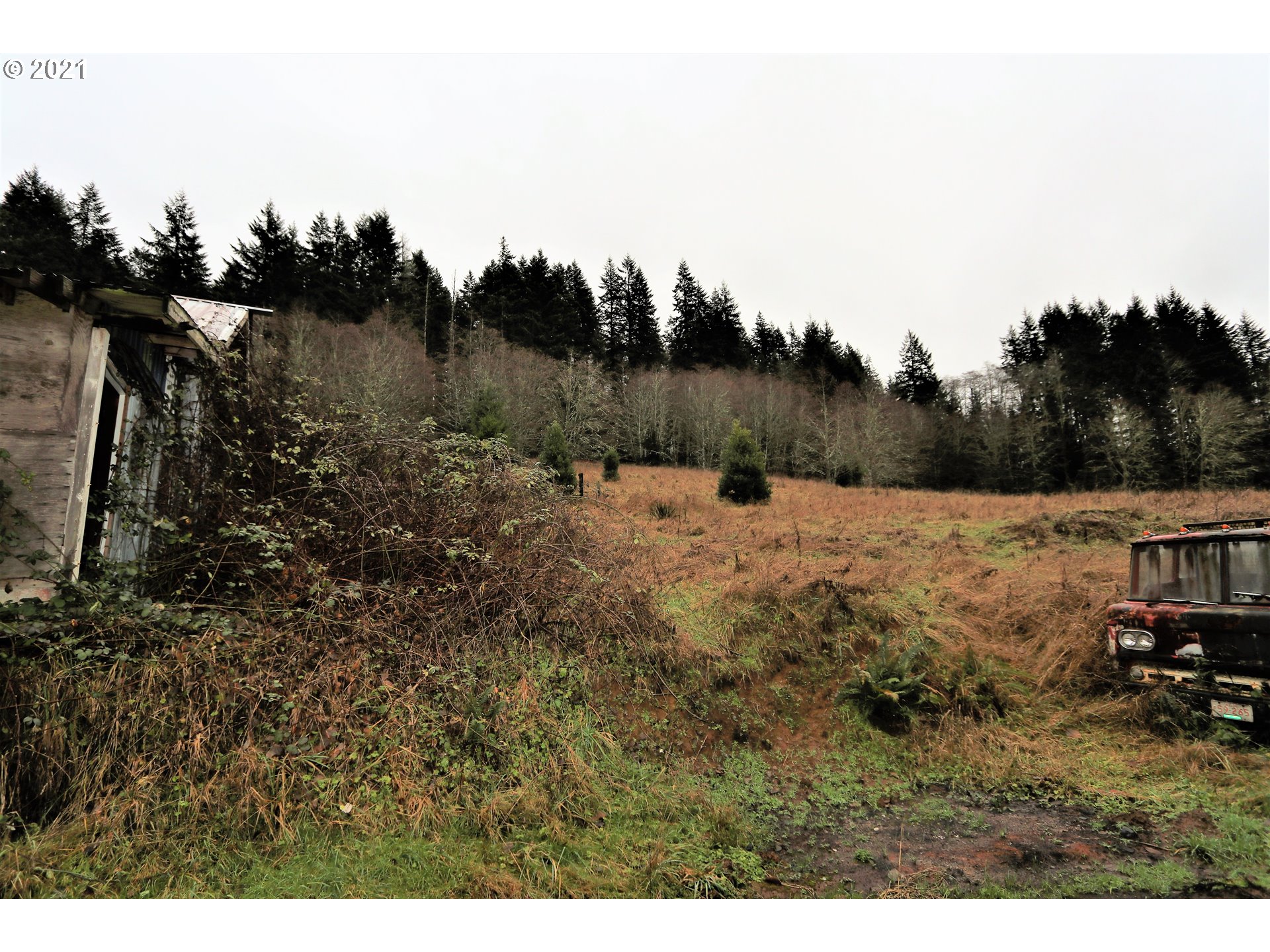 71925 Lentz Road Rainier, OR 97048 - Photo 25 of 29 Gallery Image 25