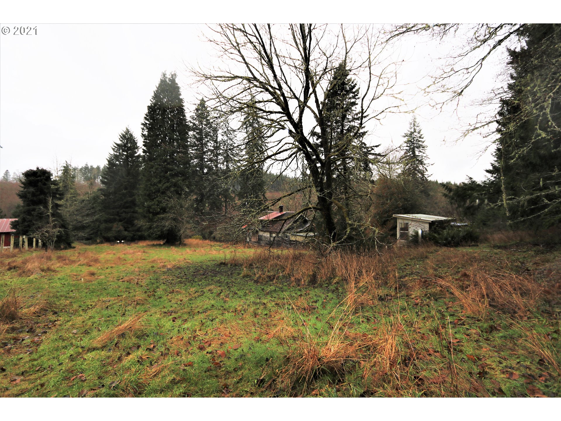 71925 Lentz Road Rainier, OR 97048 - Photo 26 of 29 Gallery Image 26