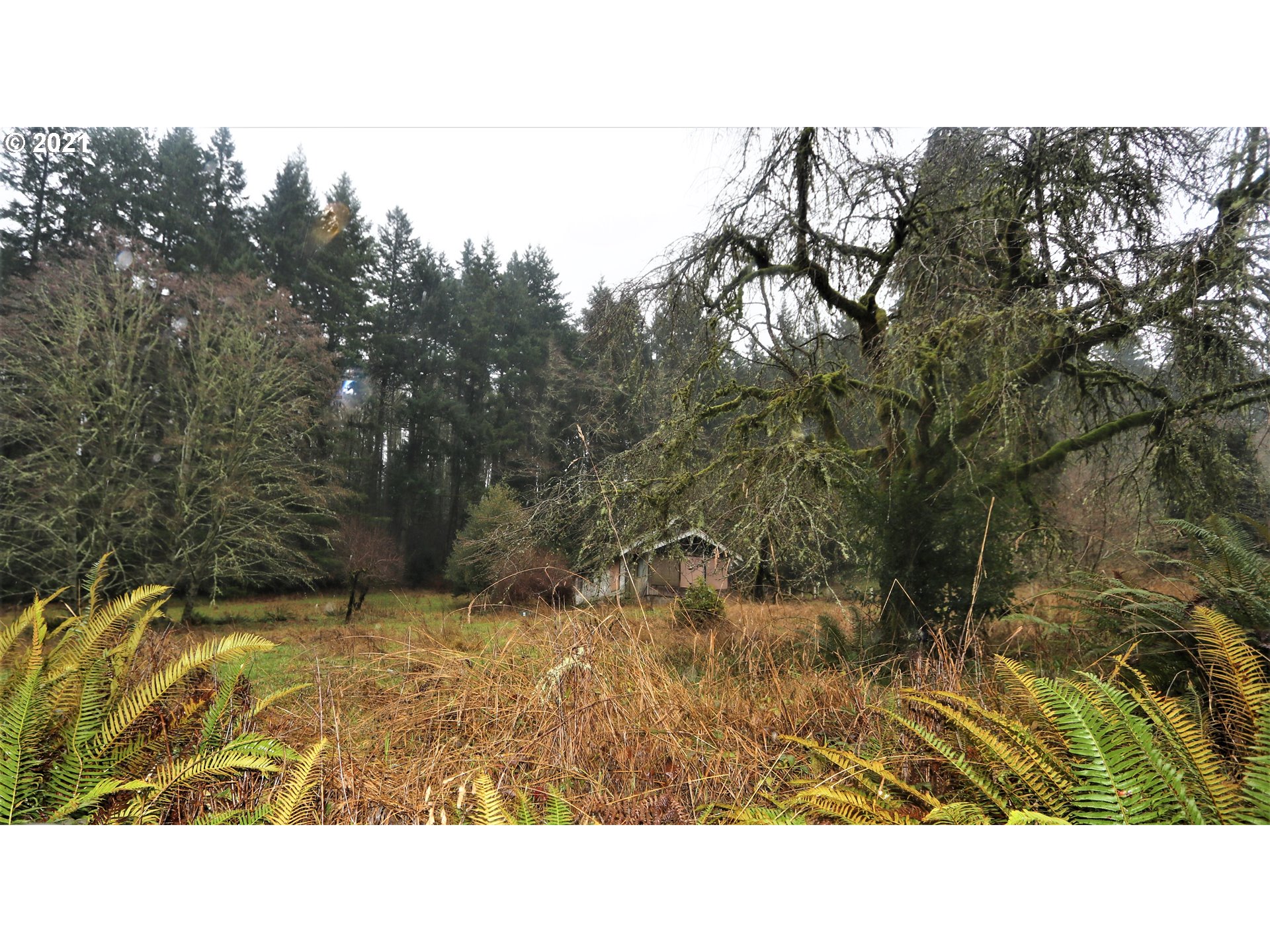 71925 Lentz Road Rainier, OR 97048 - Photo 4 of 29 Gallery Image 4