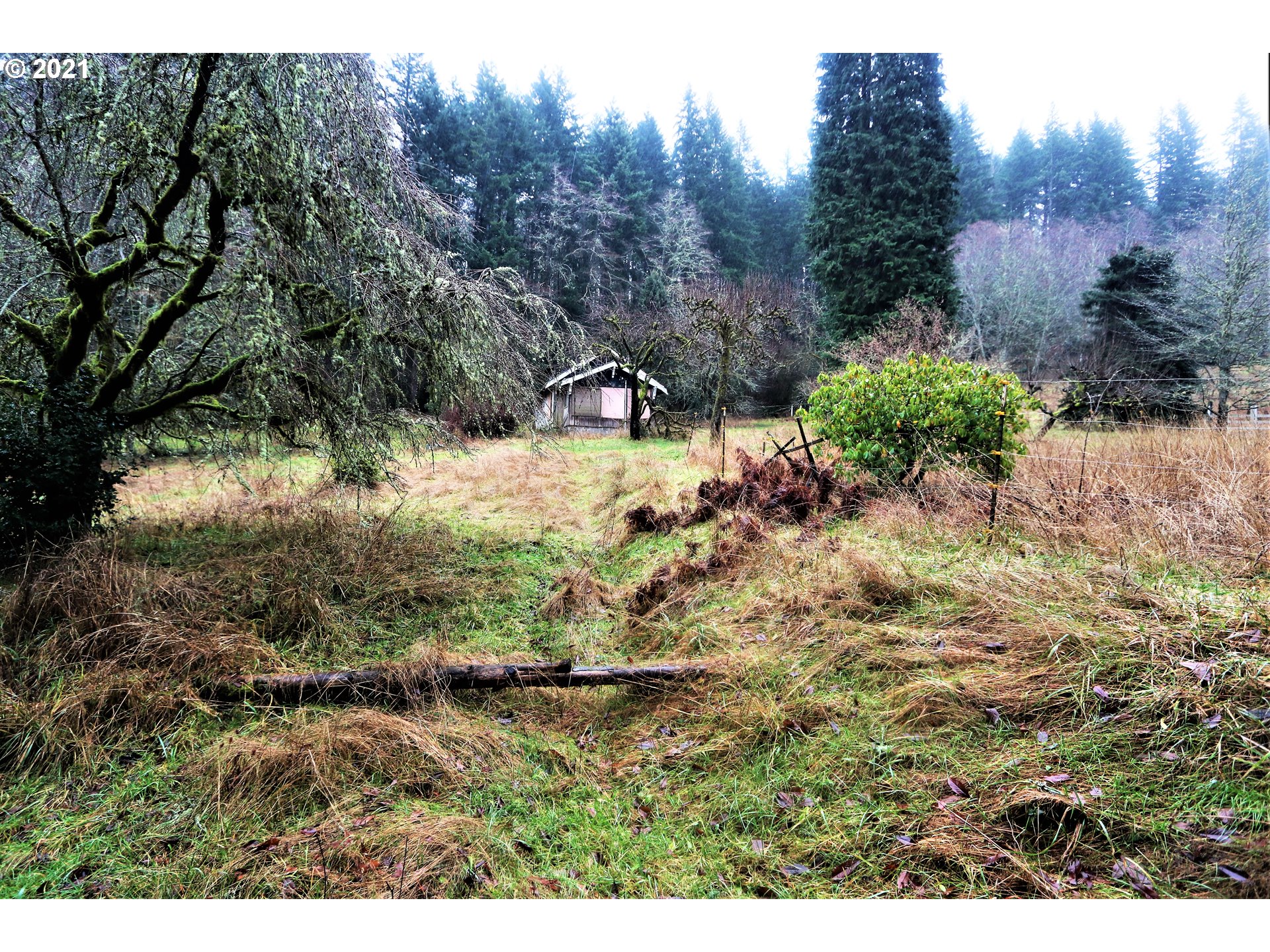 71925 Lentz Road Rainier, OR 97048 - Photo 5 of 29 Gallery Image 5