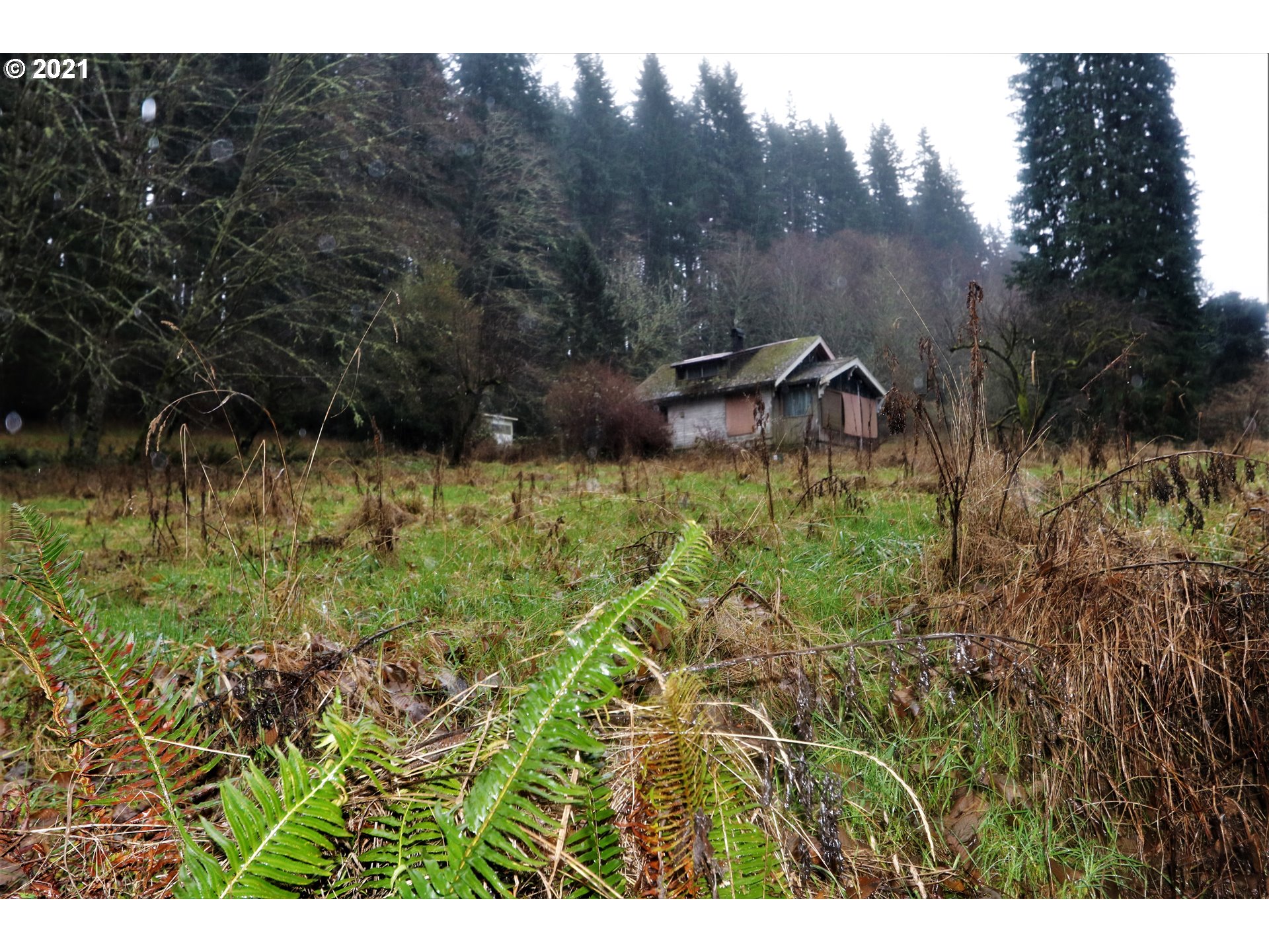 71925 Lentz Road Rainier, OR 97048 - Photo 6 of 29 Gallery Image 6