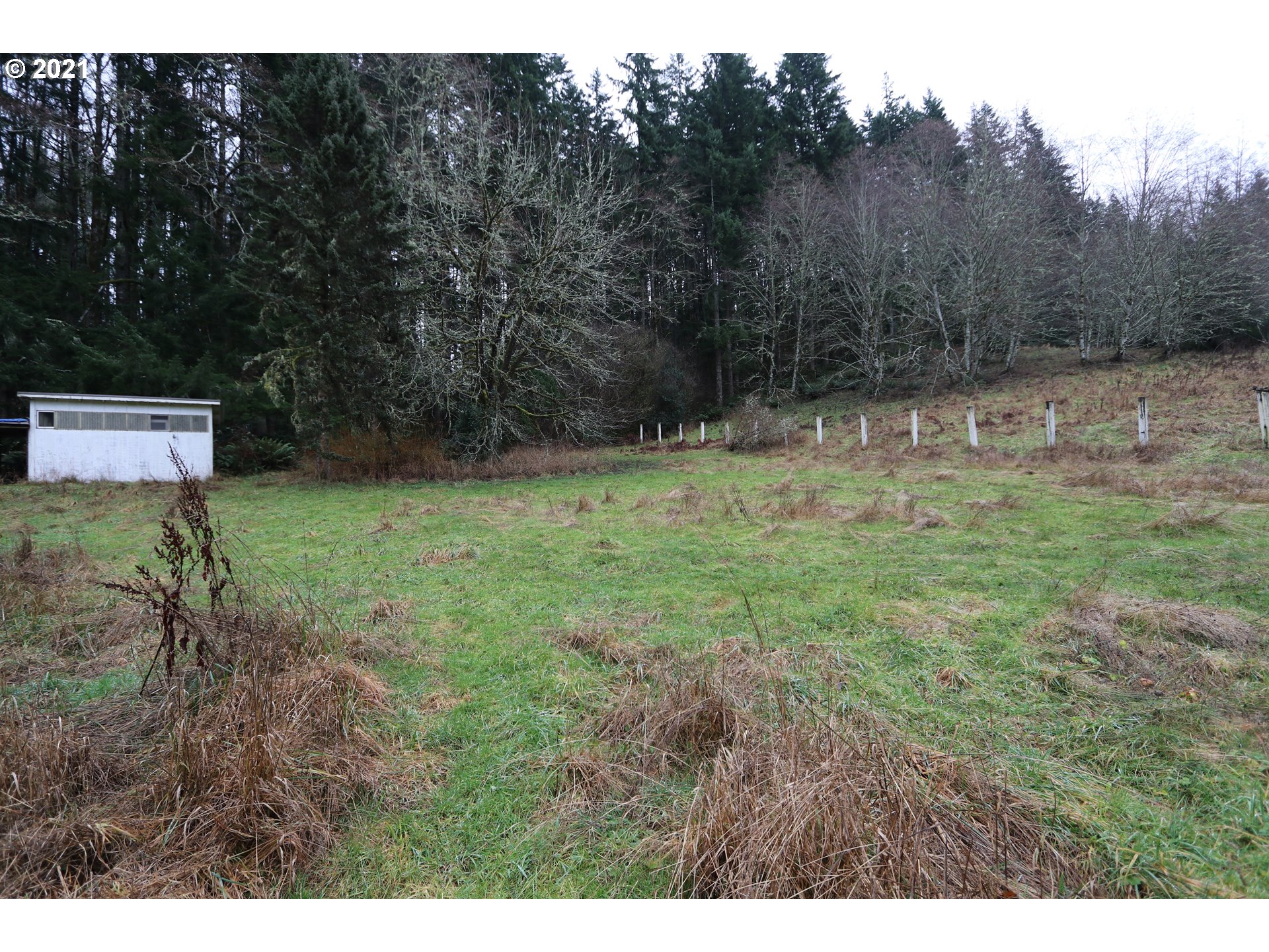 71925 Lentz Road Rainier, OR 97048 - Photo 7 of 29 Gallery Image 7