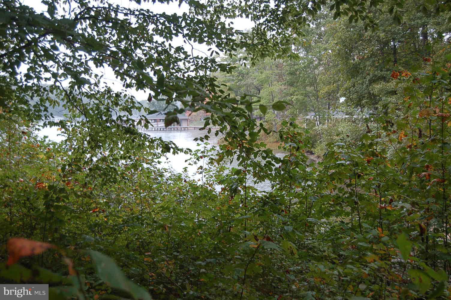 Raven Road Bumpass, VA 23024 - Photo 6 of 7 Water View 2