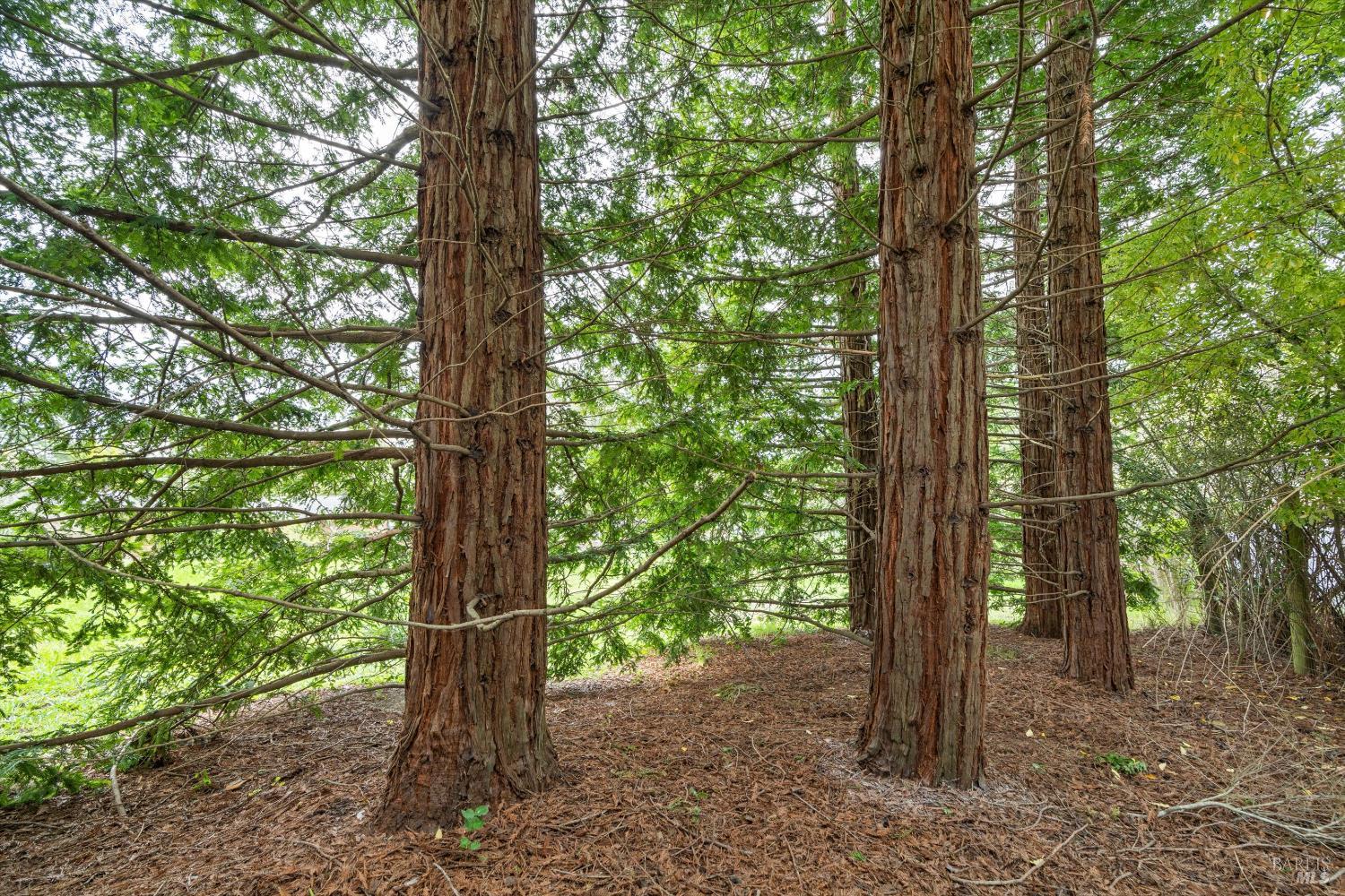 6363 Pond Hollow Road Sebastopol, CA 95472 - Photo 29 of 45