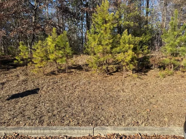 $25,000 | 0 Pierces Station, Ozark, AL 36360
