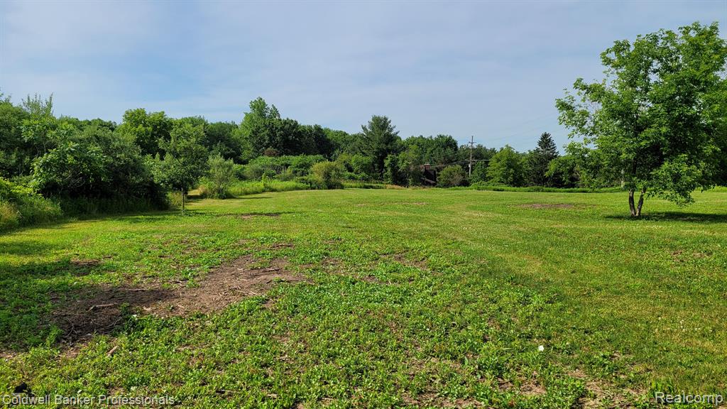 0 North Lapeer Road Columbiaville, MI 48421 - Photo 14 of 20