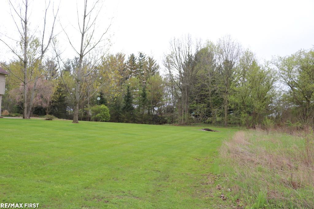 21521 Armada Ridge Road Armada, MI 48005 - Photo 8 of 9