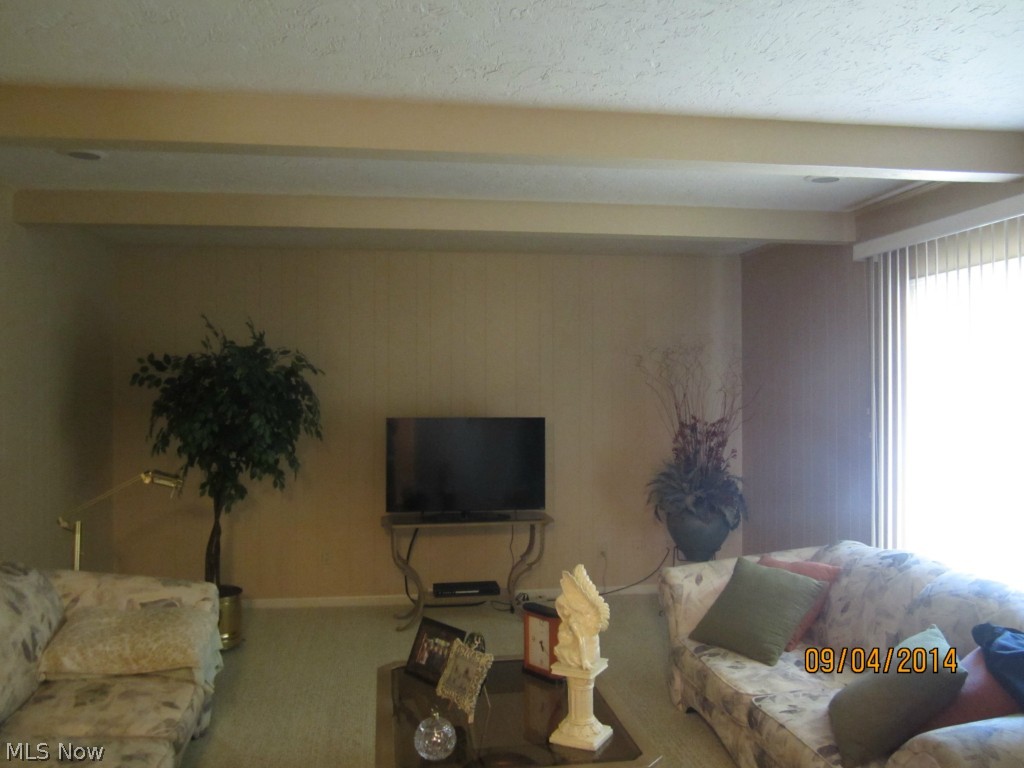 13000 Milo Road Cleveland, OH 44125 - Photo 6 of 11