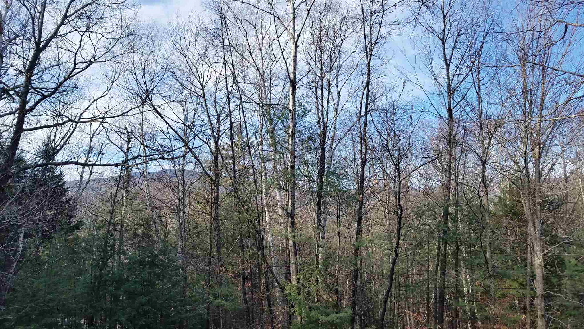 37 River Run Road, Unit 4 Waterville Valley, NH 03215 - Photo 14 of 18 Gallery Image 14