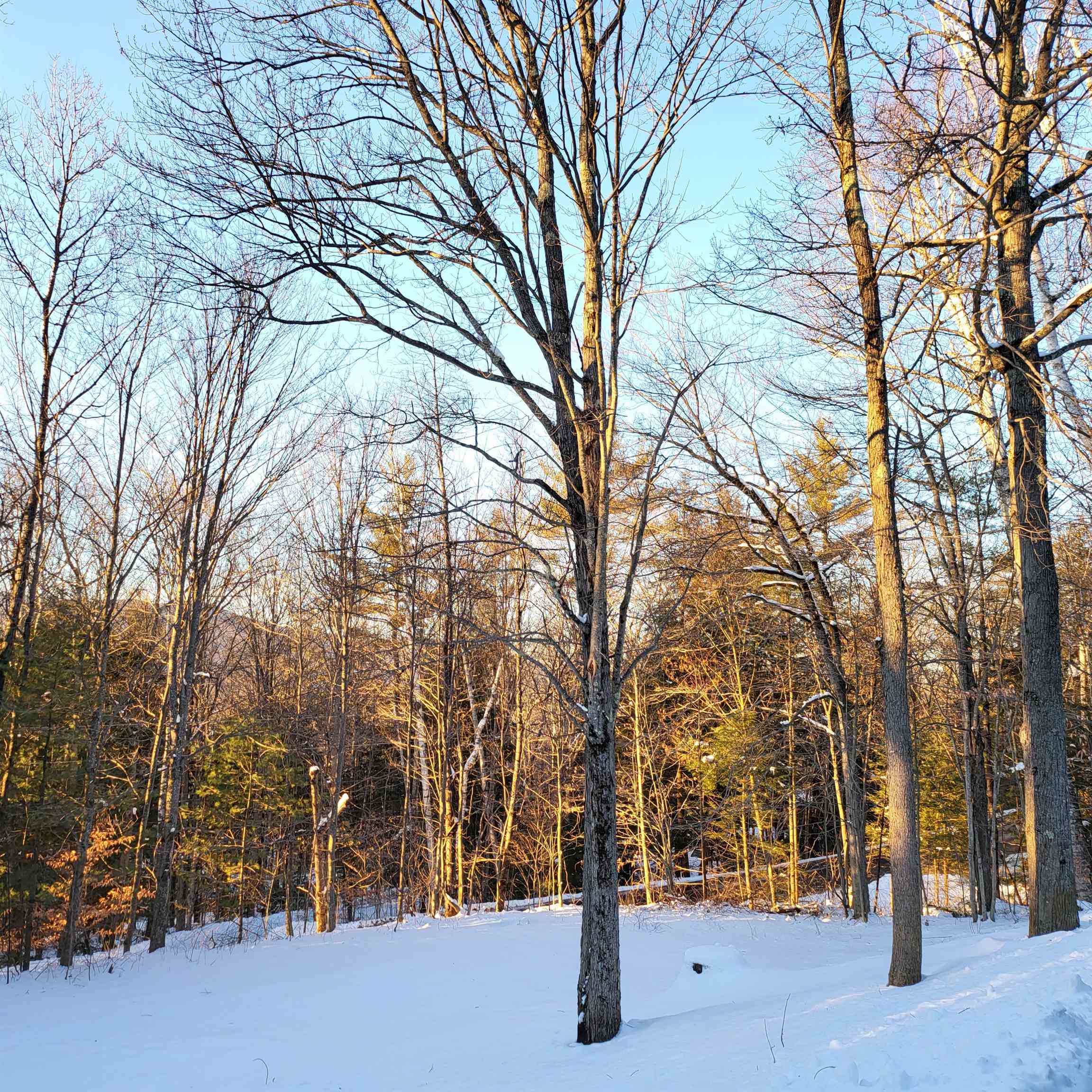 37 River Run Road, Unit 4 Waterville Valley, NH 03215 - Photo 17 of 18 Gallery Image 17