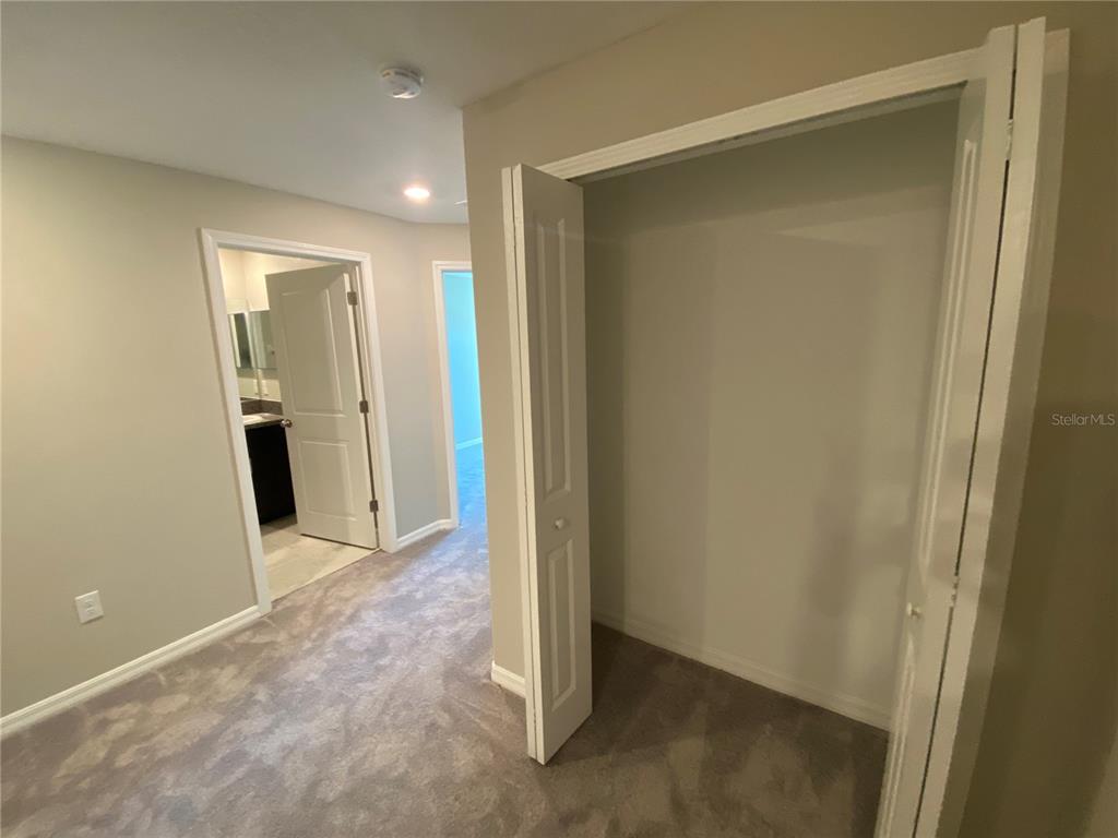 11736 Dumaine Valley Road Riverview, FL 33579 - Photo 11 of 23