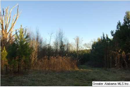 66 County Road, Unit 50 Woodland, AL 36280 - Photo 3 of 12