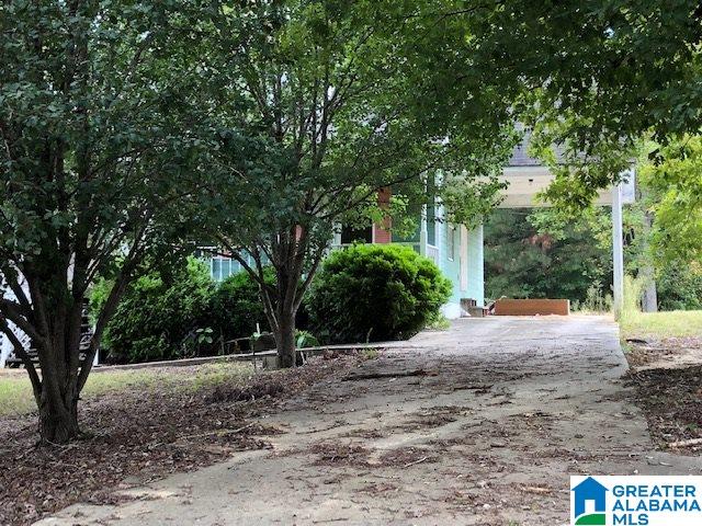 798 Starnes Chapel Road Blountsville, AL 35031 - Photo 3 of 22
