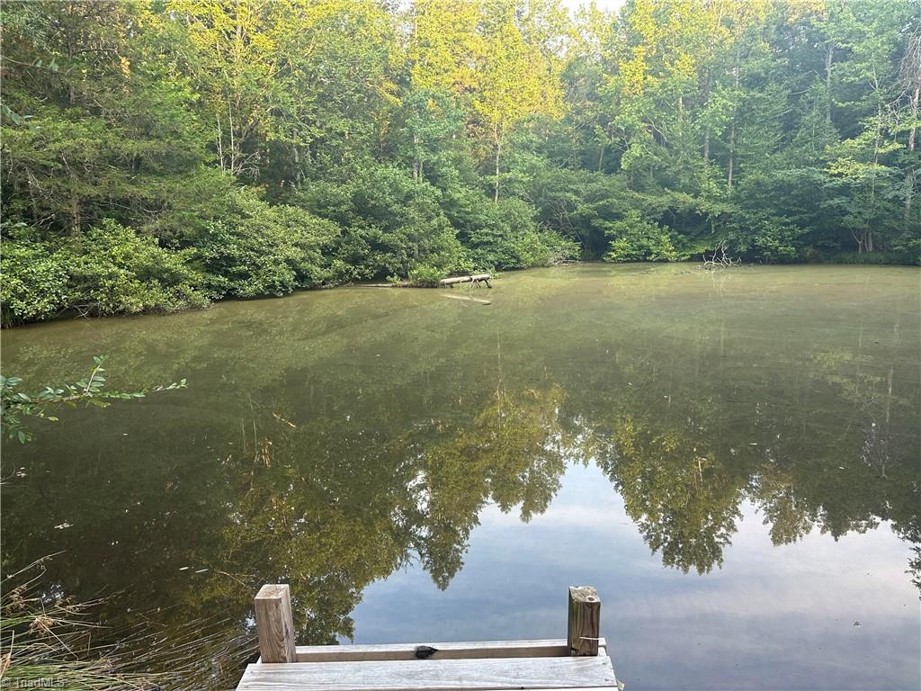 6421 Alamance County Line Road Liberty, NC 27298 - Photo 26 of 29 Fish off of the dock!