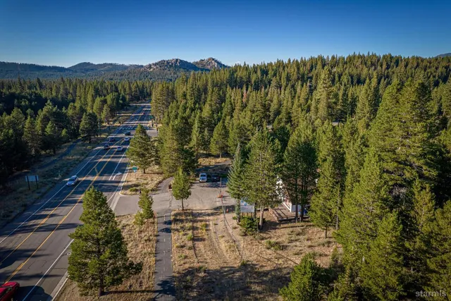 a view of a city with lush green forest