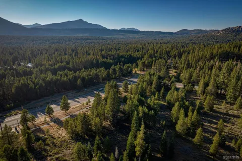 a view of a lake in middle of forest