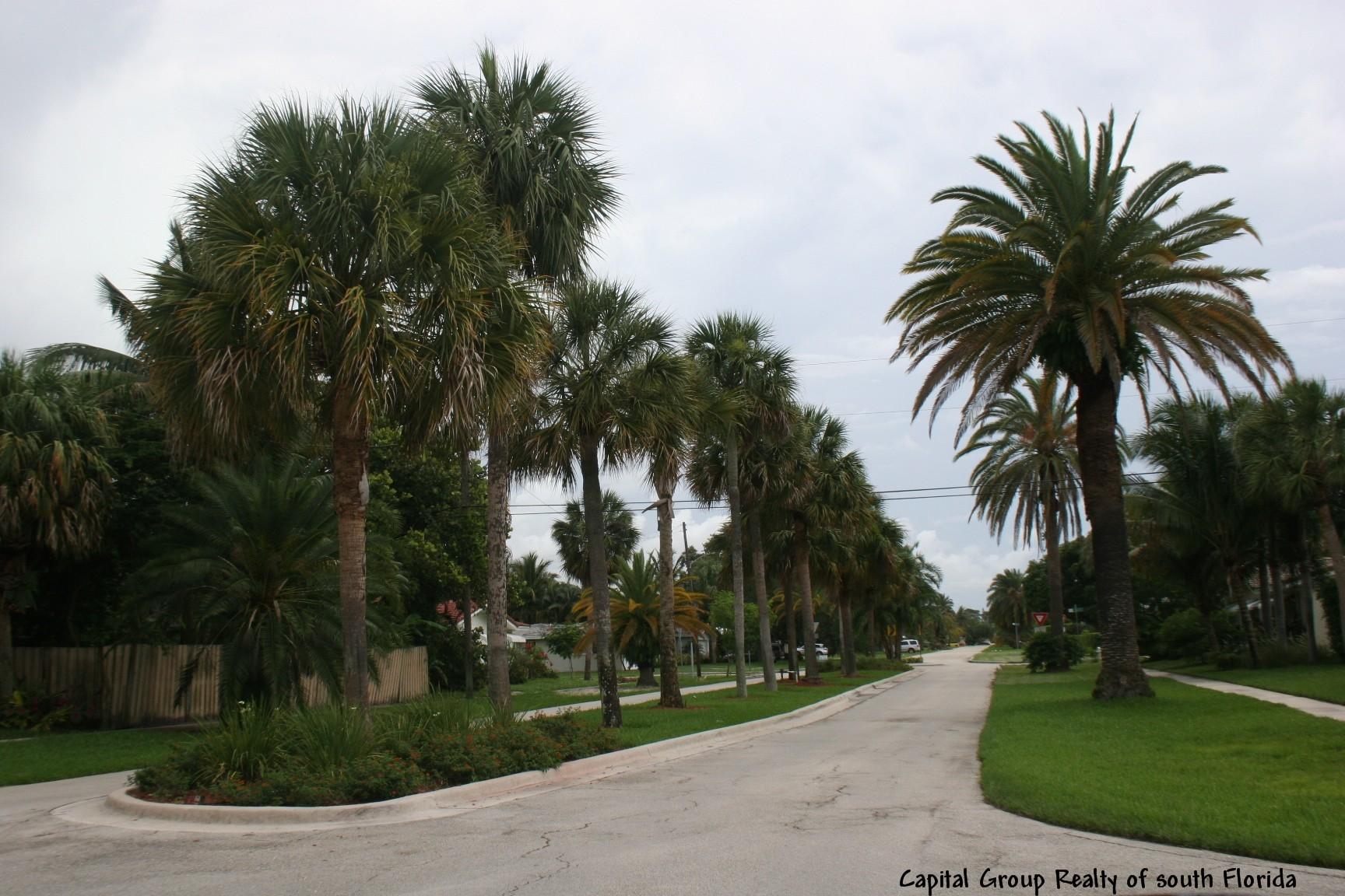425 Southwest 7th Avenue Boca Raton, FL 33486 - Photo 3 of 6 Tree lined Streets