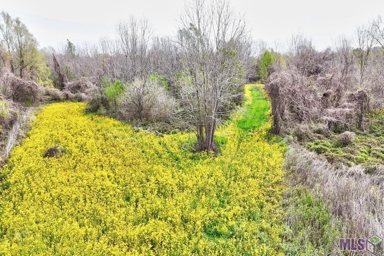 Tbd Cat Island Road St. Francisville, LA 70775 - Photo 13 of 60