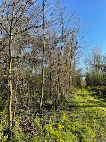 $1,641,114 | Tbd Cat Island Road, St. Francisville, LA 70775