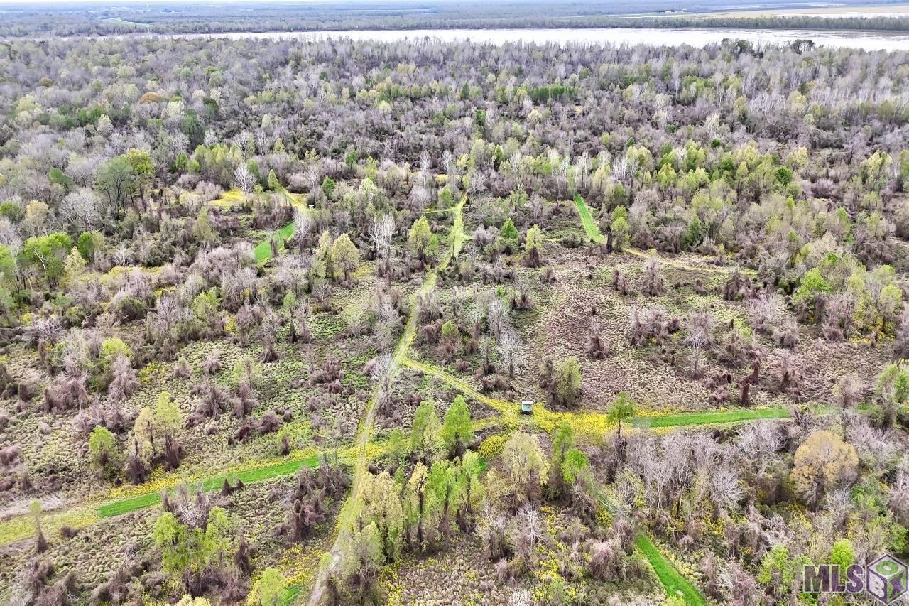 Tbd Cat Island Road St. Francisville, LA 70775 - Photo 14 of 60