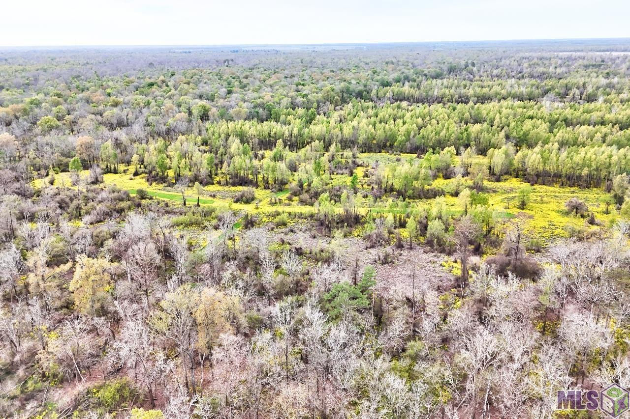 Tbd Cat Island Road St. Francisville, LA 70775 - Photo 16 of 60
