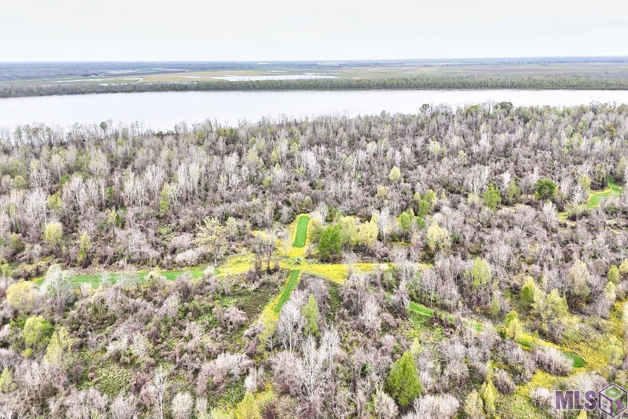 Tbd Cat Island Road St. Francisville, LA 70775 - Photo 18 of 60