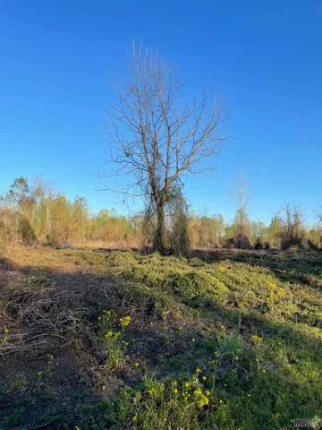 $1,641,114 | Tbd Cat Island Road, St. Francisville, LA 70775