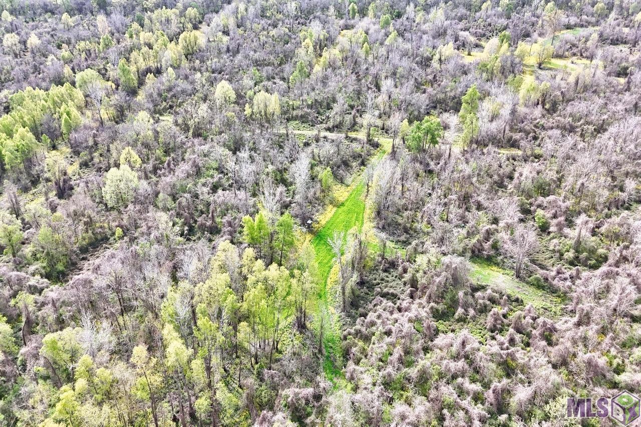 Tbd Cat Island Road St. Francisville, LA 70775 - Photo 21 of 60