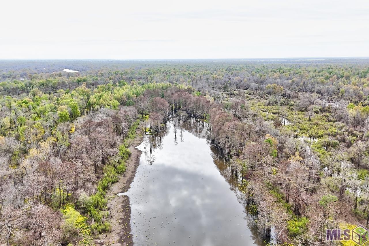 Tbd Cat Island Road St. Francisville, LA 70775 - Photo 3 of 60