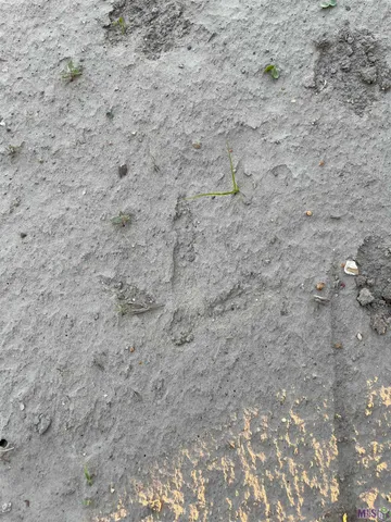 $1,641,114 | Tbd Cat Island Road, St. Francisville, LA 70775