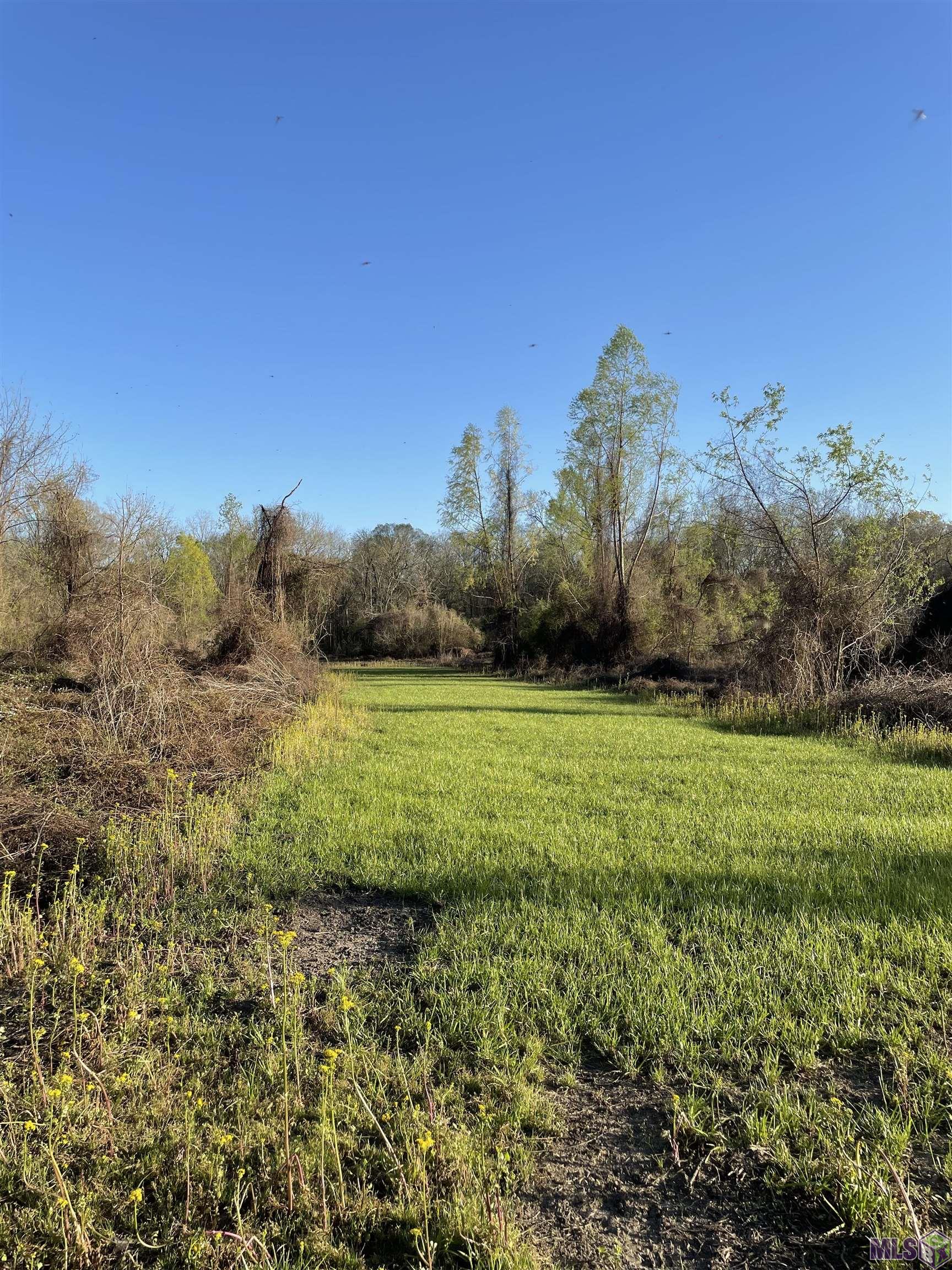 Tbd Cat Island Road St. Francisville, LA 70775 - Photo 44 of 60
