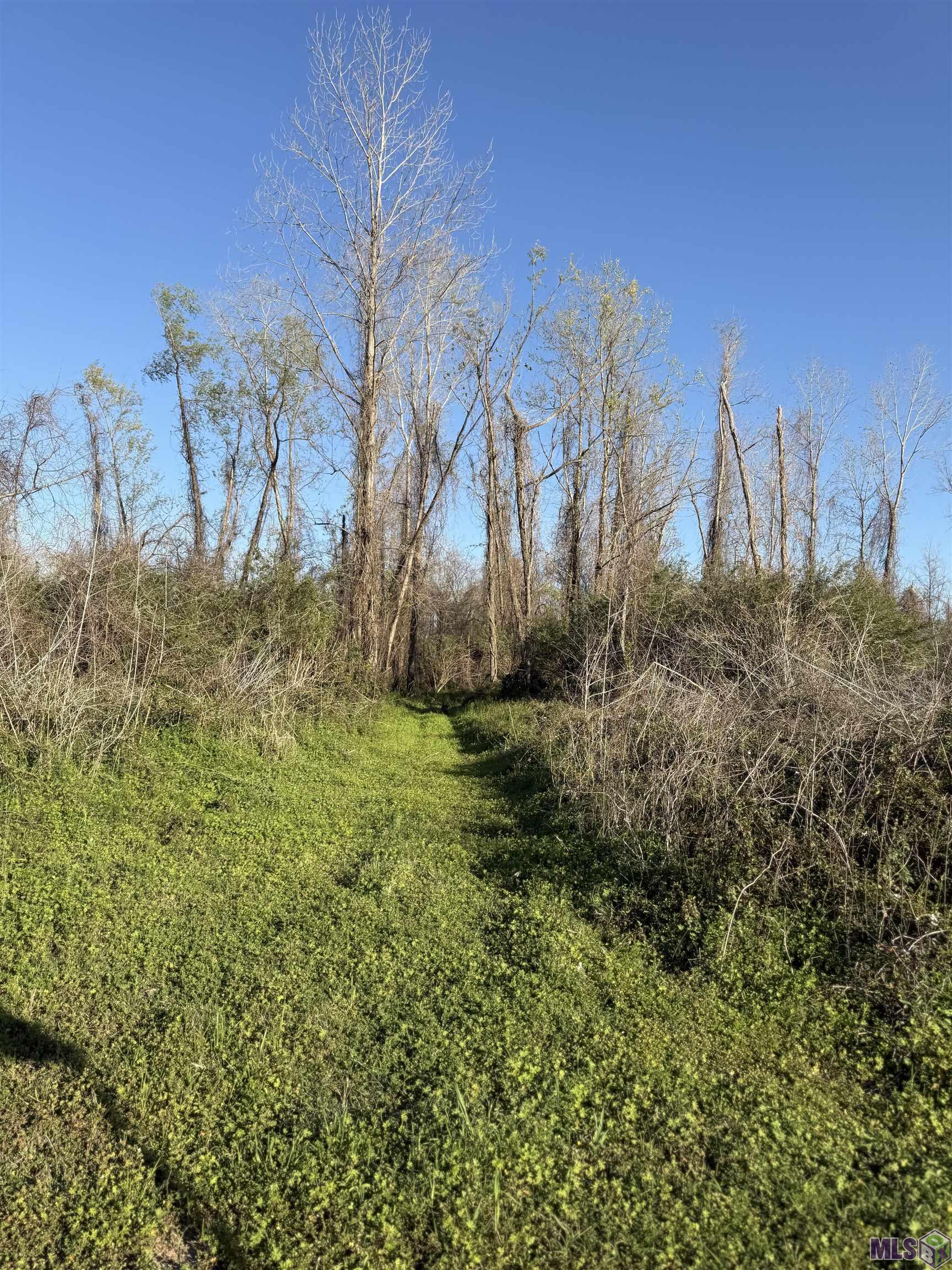 Tbd Cat Island Road St. Francisville, LA 70775 - Photo 45 of 60