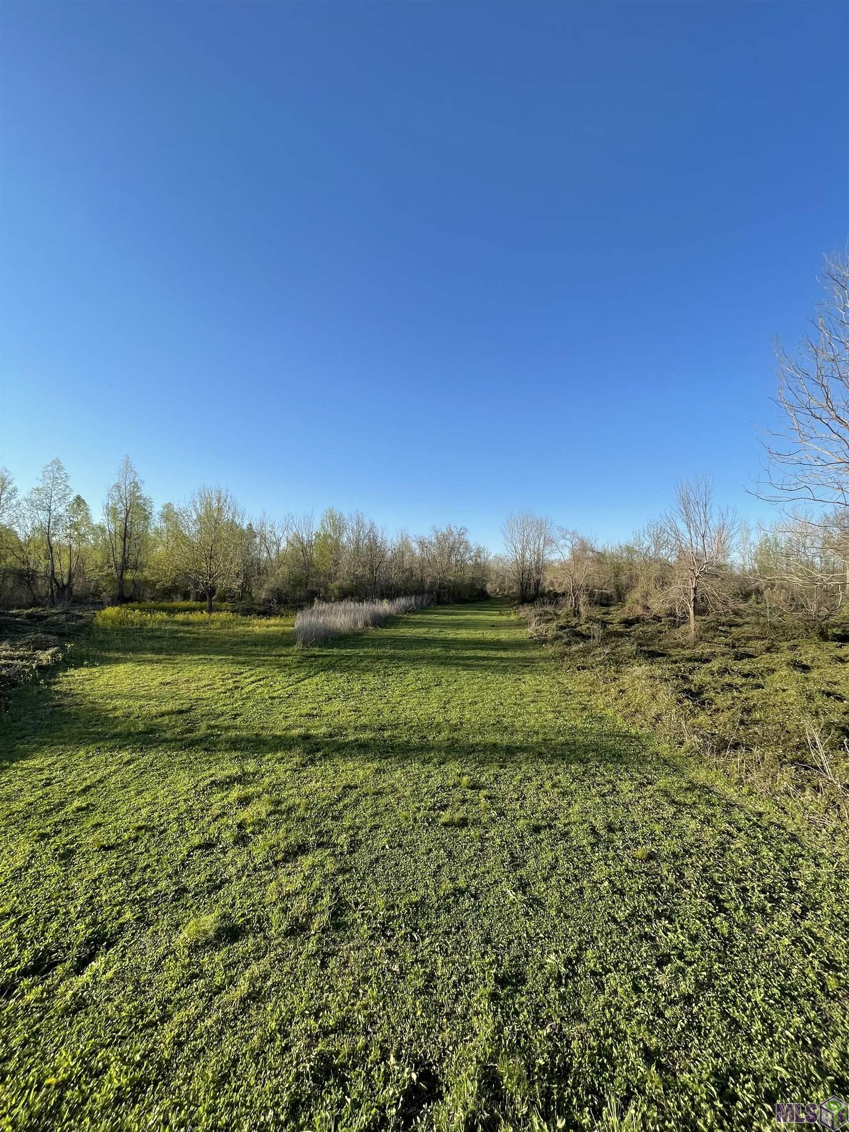 Tbd Cat Island Road St. Francisville, LA 70775 - Photo 47 of 60