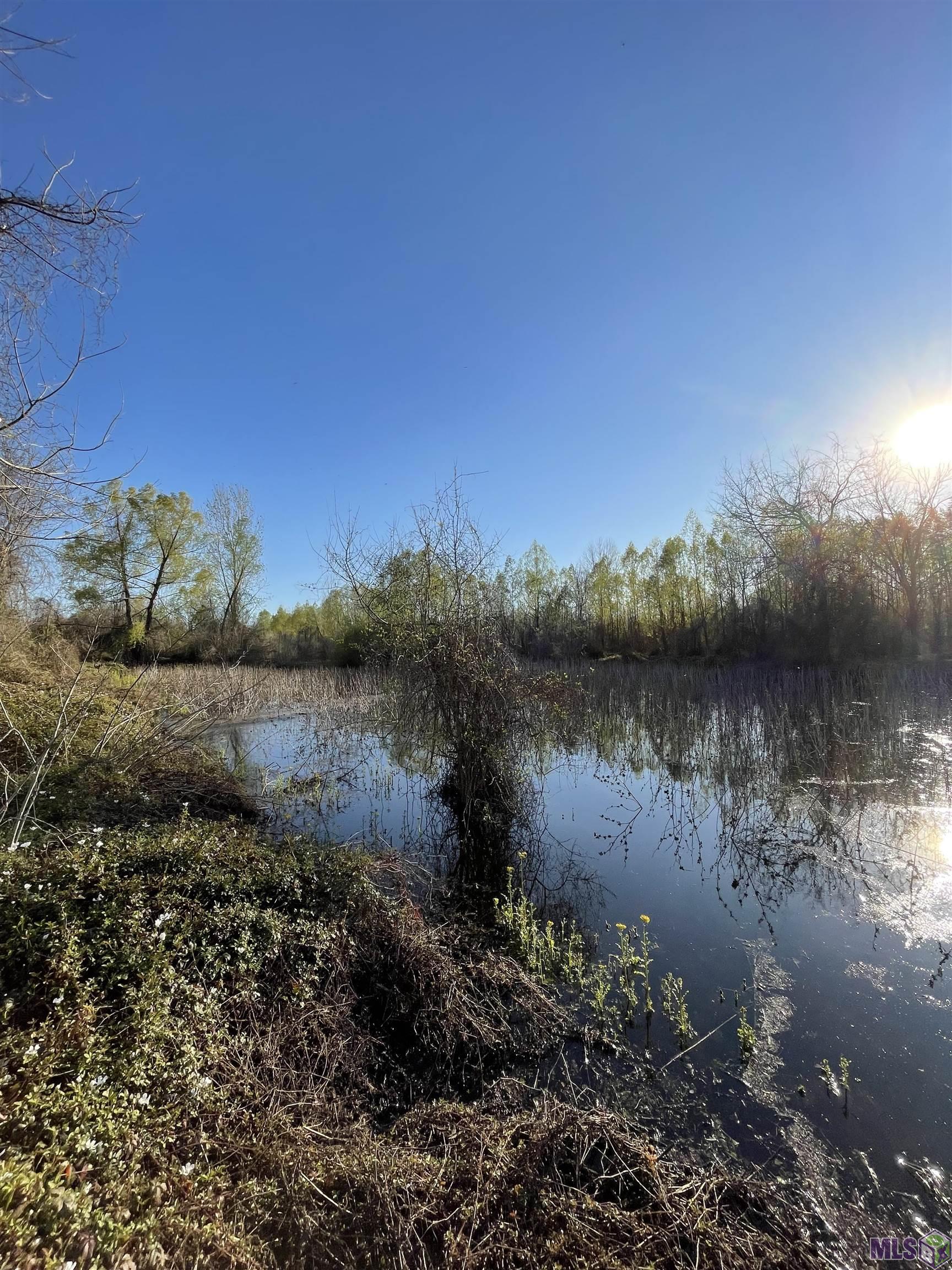 Tbd Cat Island Road St. Francisville, LA 70775 - Photo 50 of 60