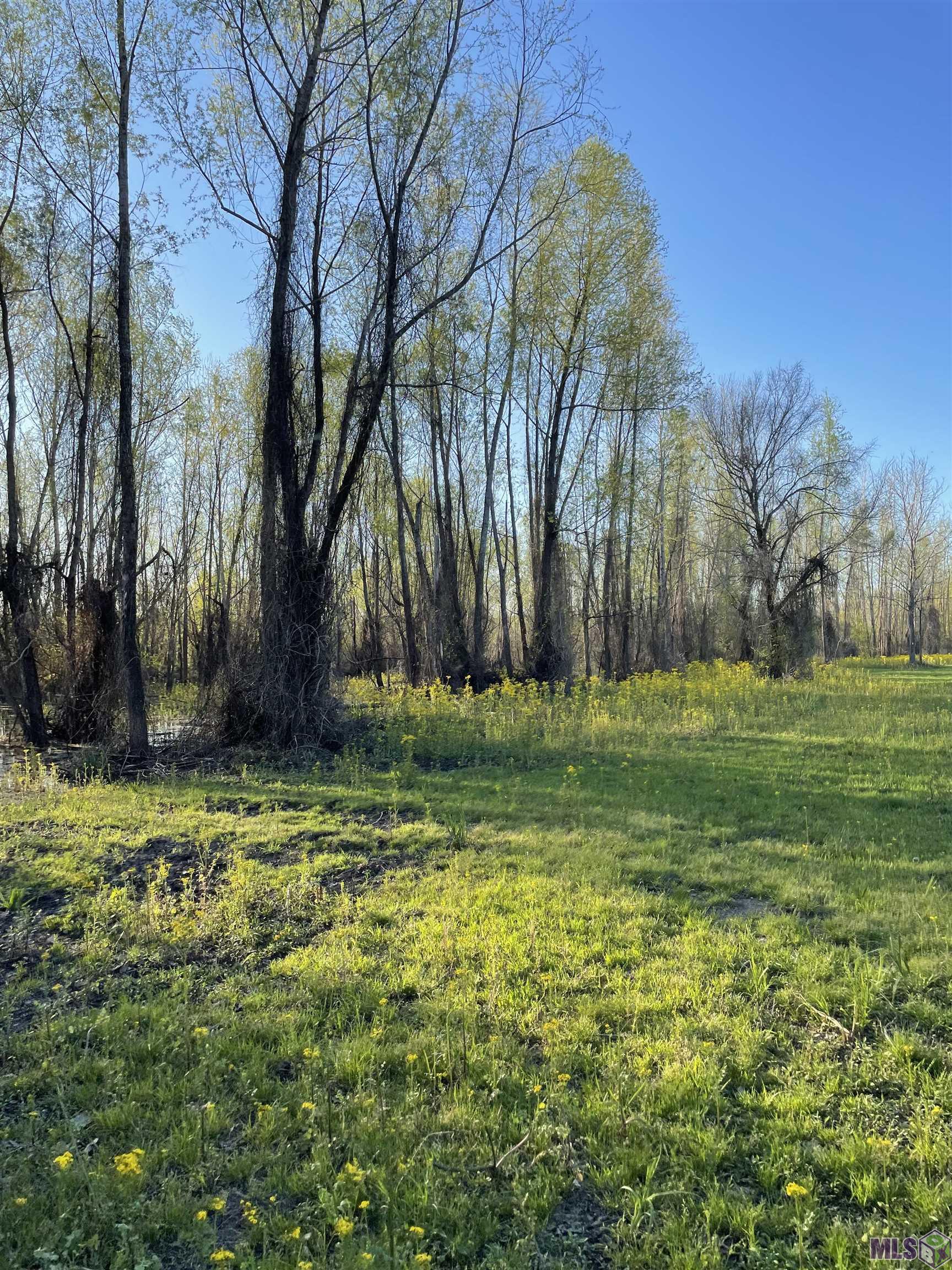 Tbd Cat Island Road St. Francisville, LA 70775 - Photo 54 of 60