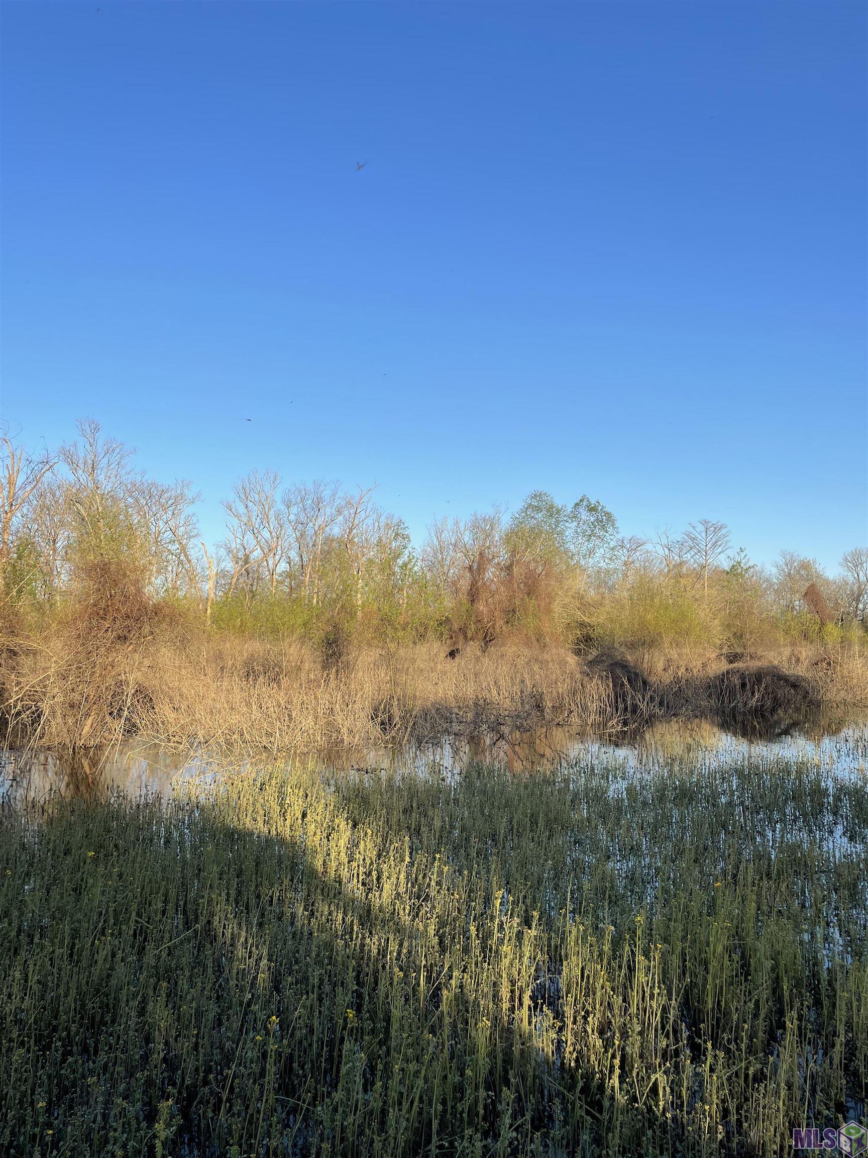 Tbd Cat Island Road St. Francisville, LA 70775 - Photo 56 of 60