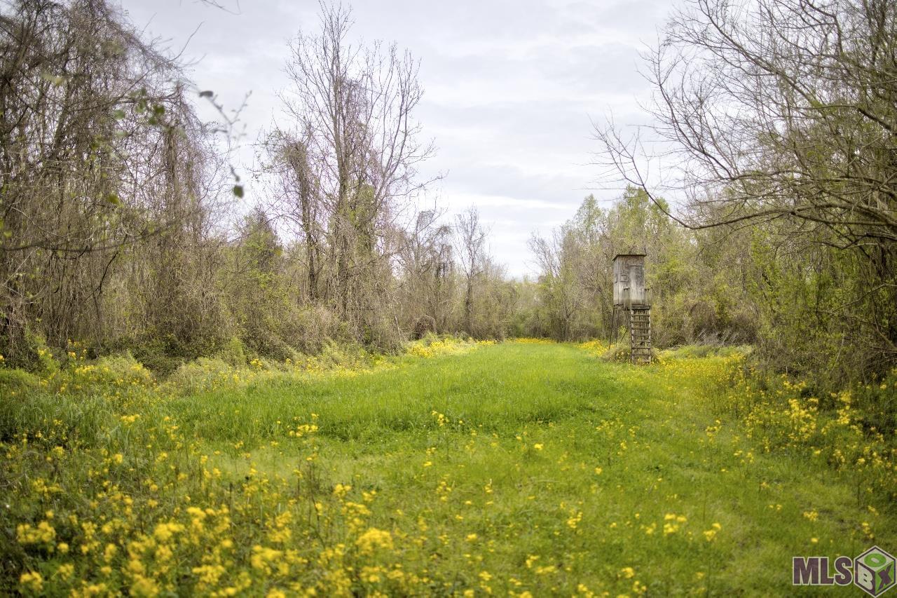 Tbd Cat Island Road St. Francisville, LA 70775 - Photo 7 of 60