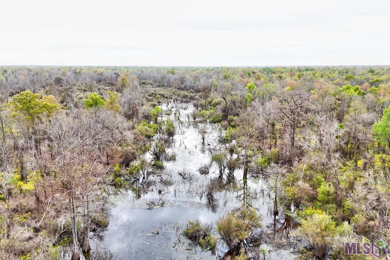 Tbd Cat Island Road St. Francisville, LA 70775 - Photo 8 of 60
