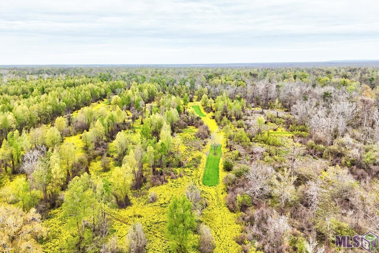 Tbd Cat Island Road St. Francisville, LA 70775 - Photo 10 of 60