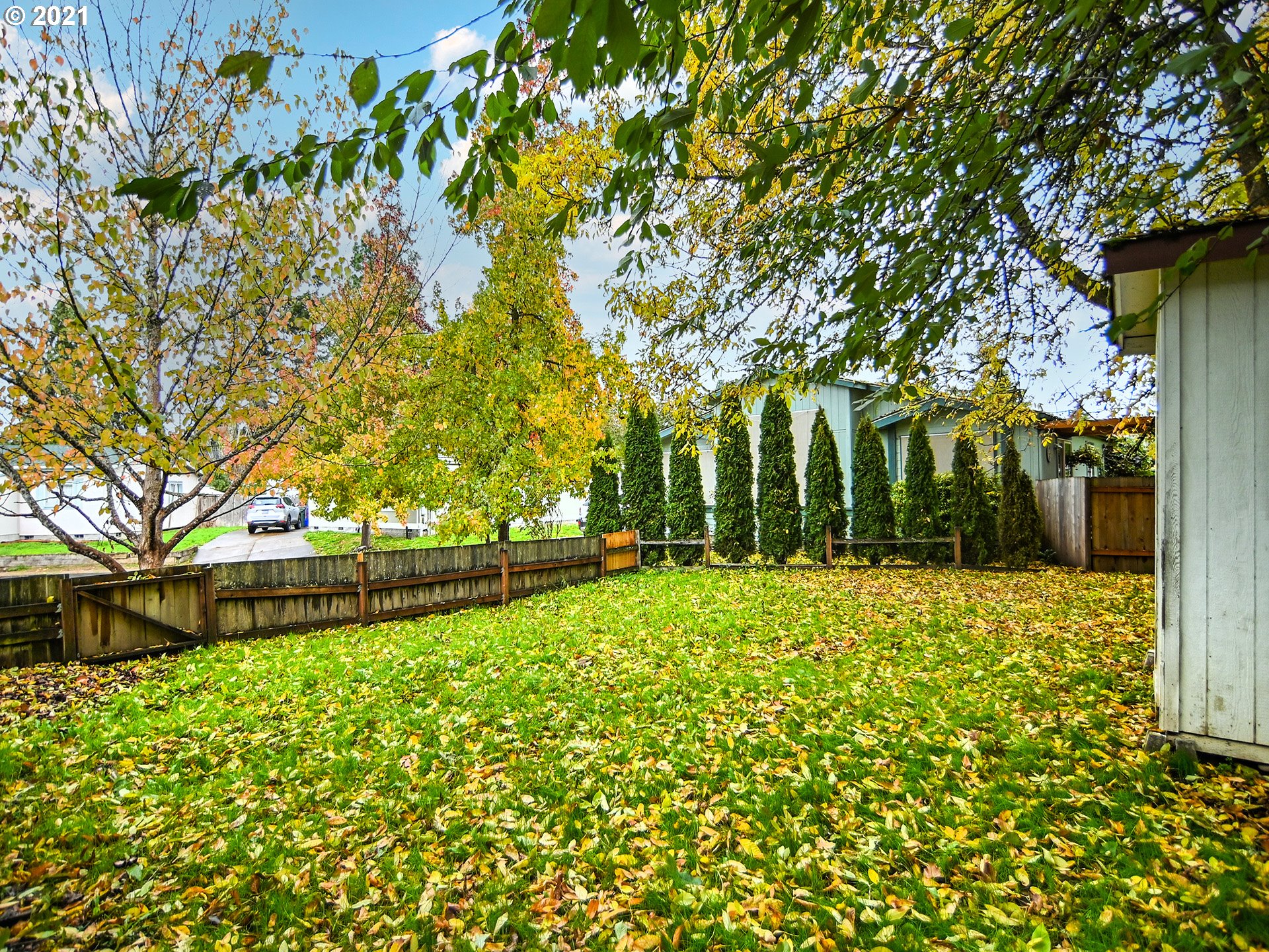 469 48th Street Springfield, OR 97478 - Photo 27 of 32 a view of a yard with plants and trees