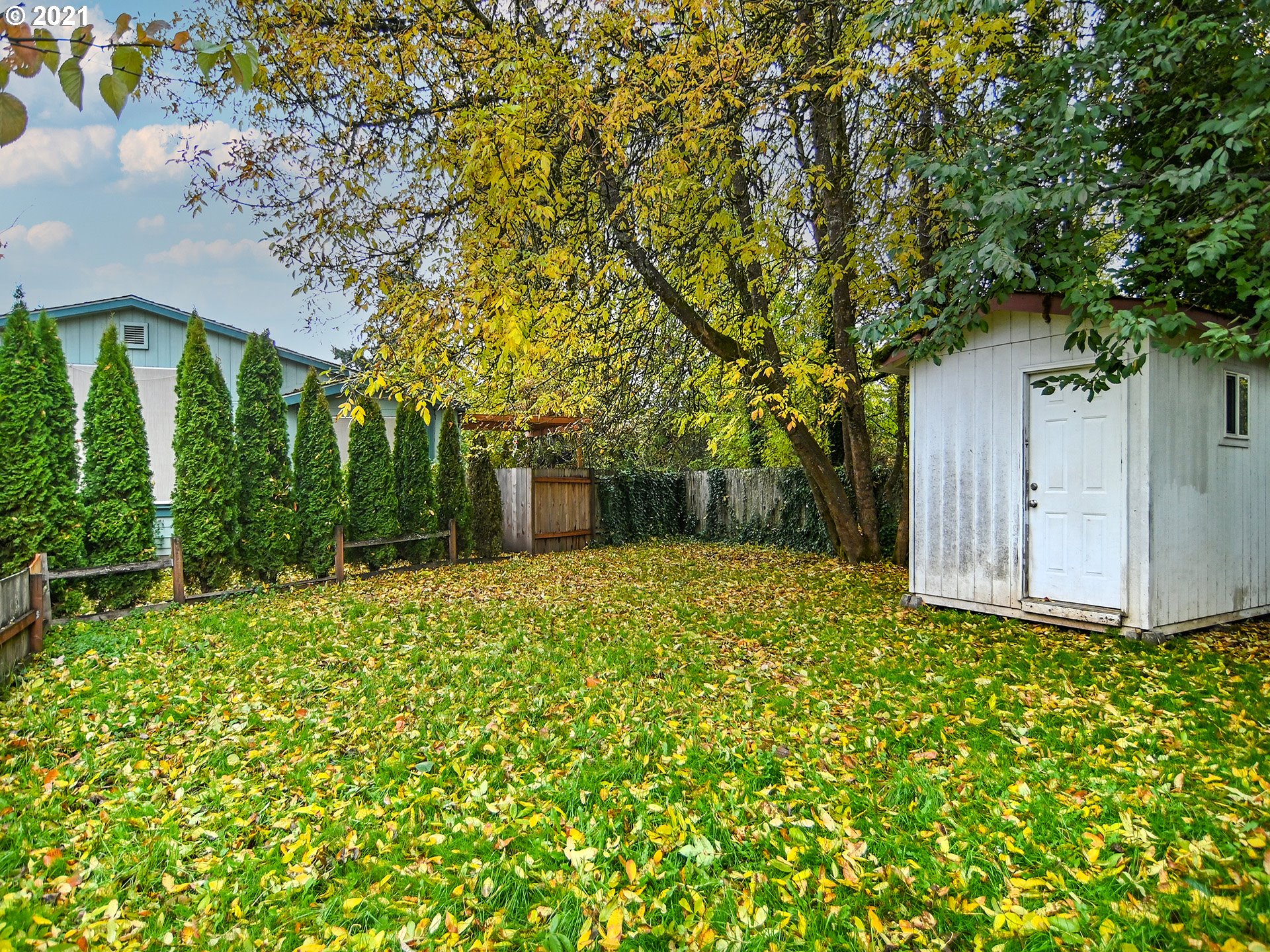 469 48th Street Springfield, OR 97478 - Photo 28 of 32 a backyard of a house with lots of green space