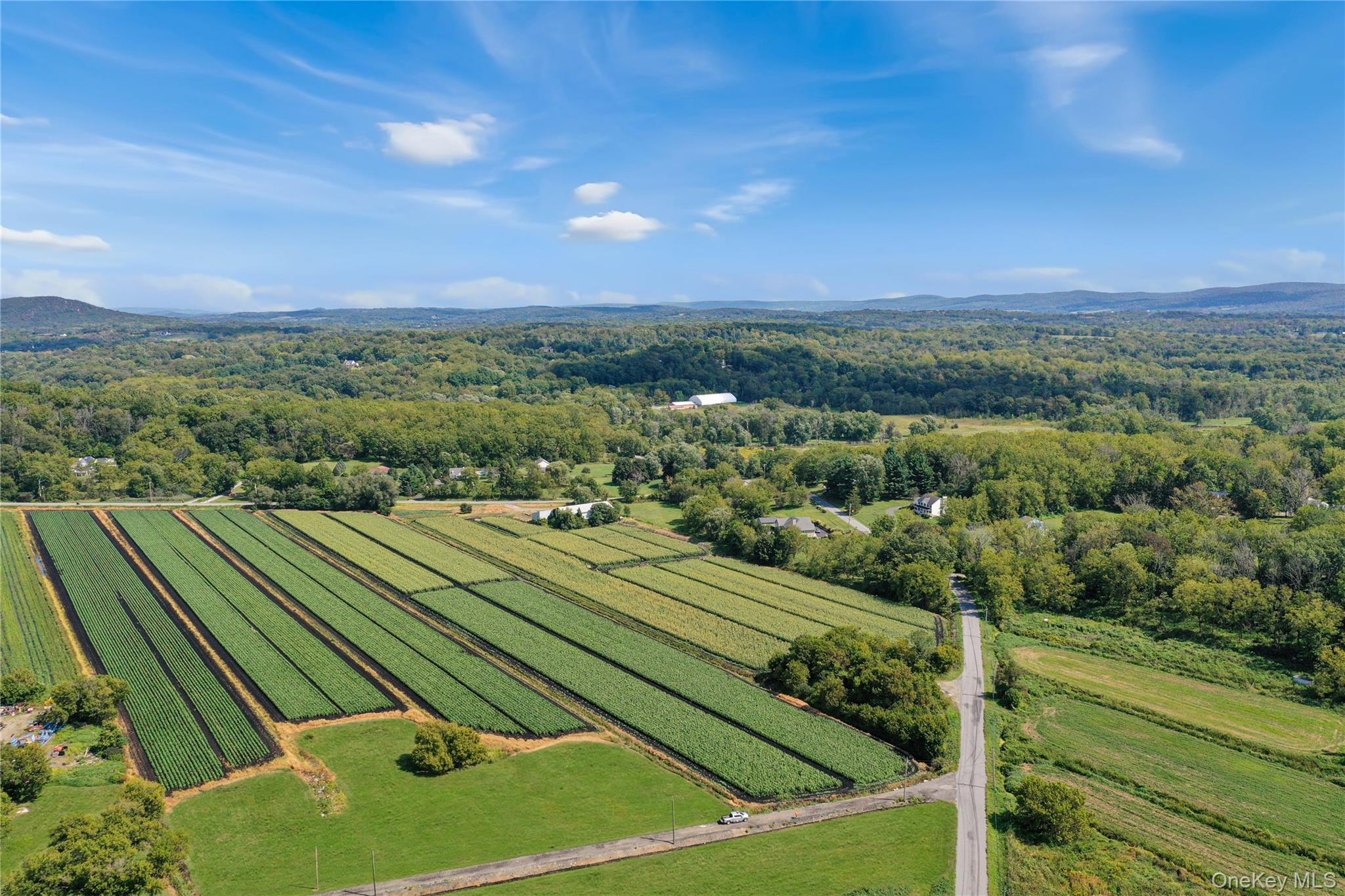 18 Stage Road Pine Island, NY 10969 - Photo 40 of 42 a view of a tennis court