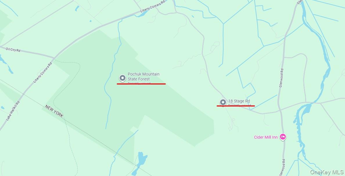 18 Stage Road Pine Island, NY 10969 - Photo 42 of 42 a view of a room with racks on the wall