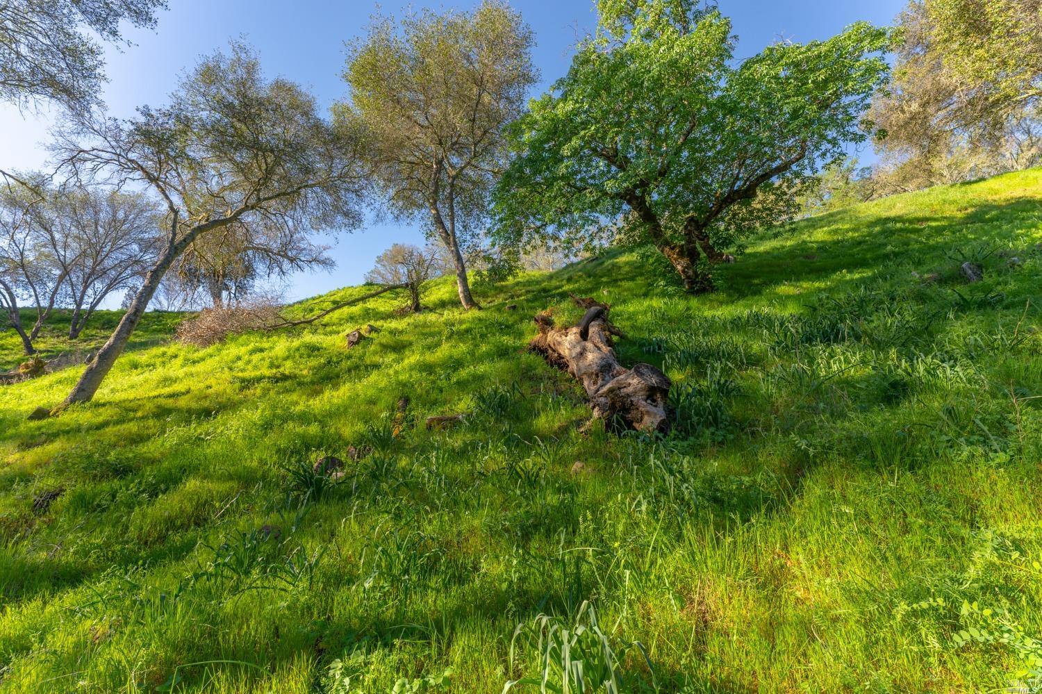 1121 Steele Canyon Road Napa, CA 94558 - Photo 12 of 35