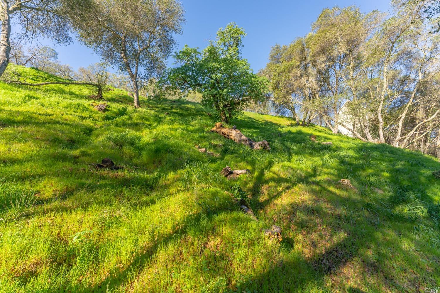 1121 Steele Canyon Road Napa, CA 94558 - Photo 13 of 35