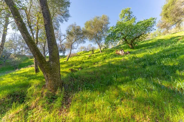 $12,000 | 1121 Steele Canyon Road, Napa, CA 94558