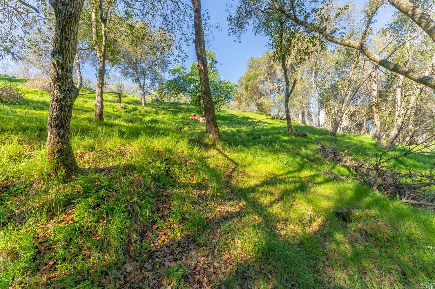 1121 Steele Canyon Road Napa, CA 94558 - Photo 16 of 35