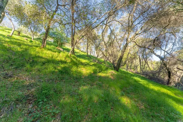 $12,000 | 1121 Steele Canyon Road, Napa, CA 94558
